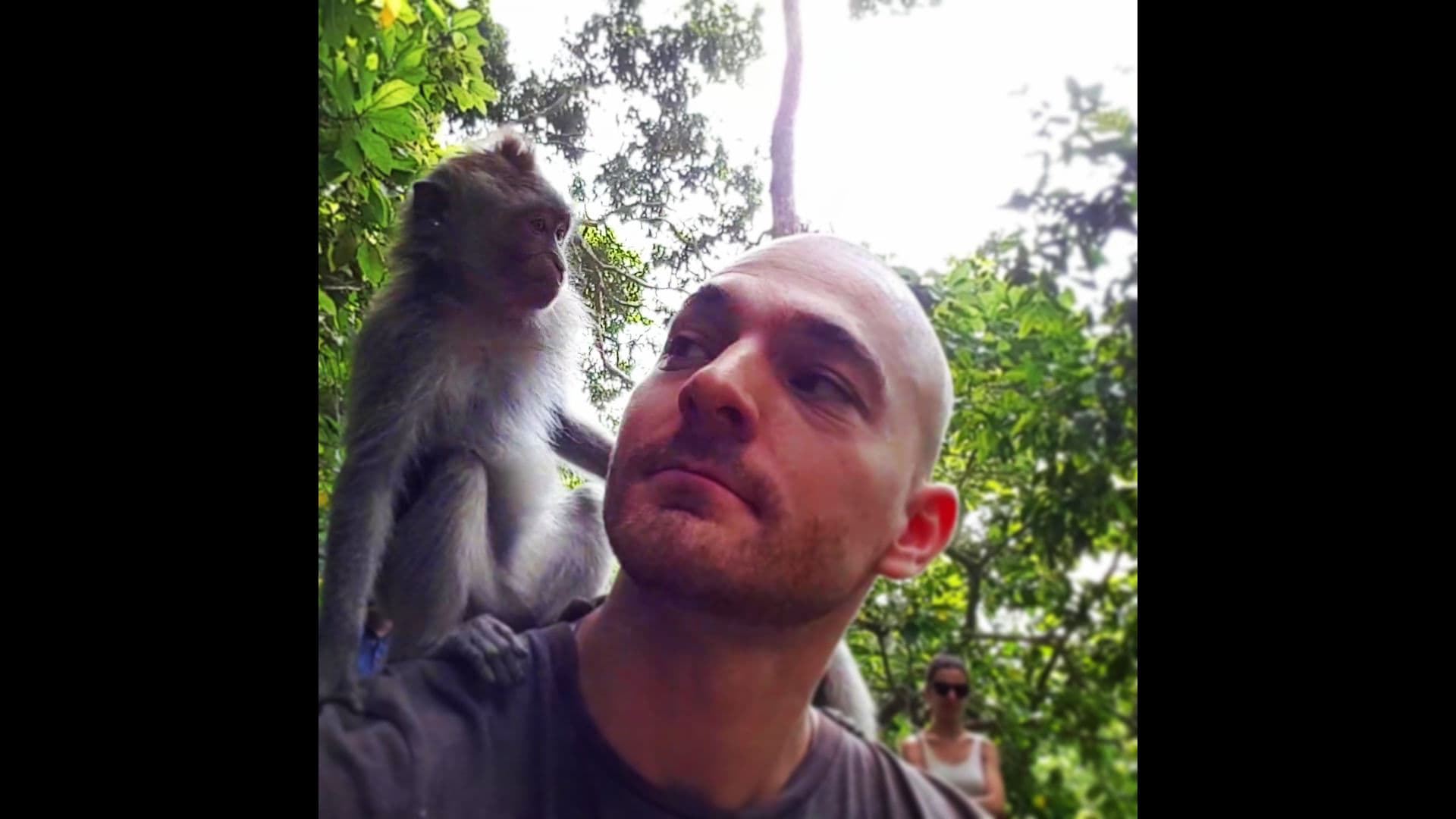 A Kung Fu Master with a monkey on their shoulder